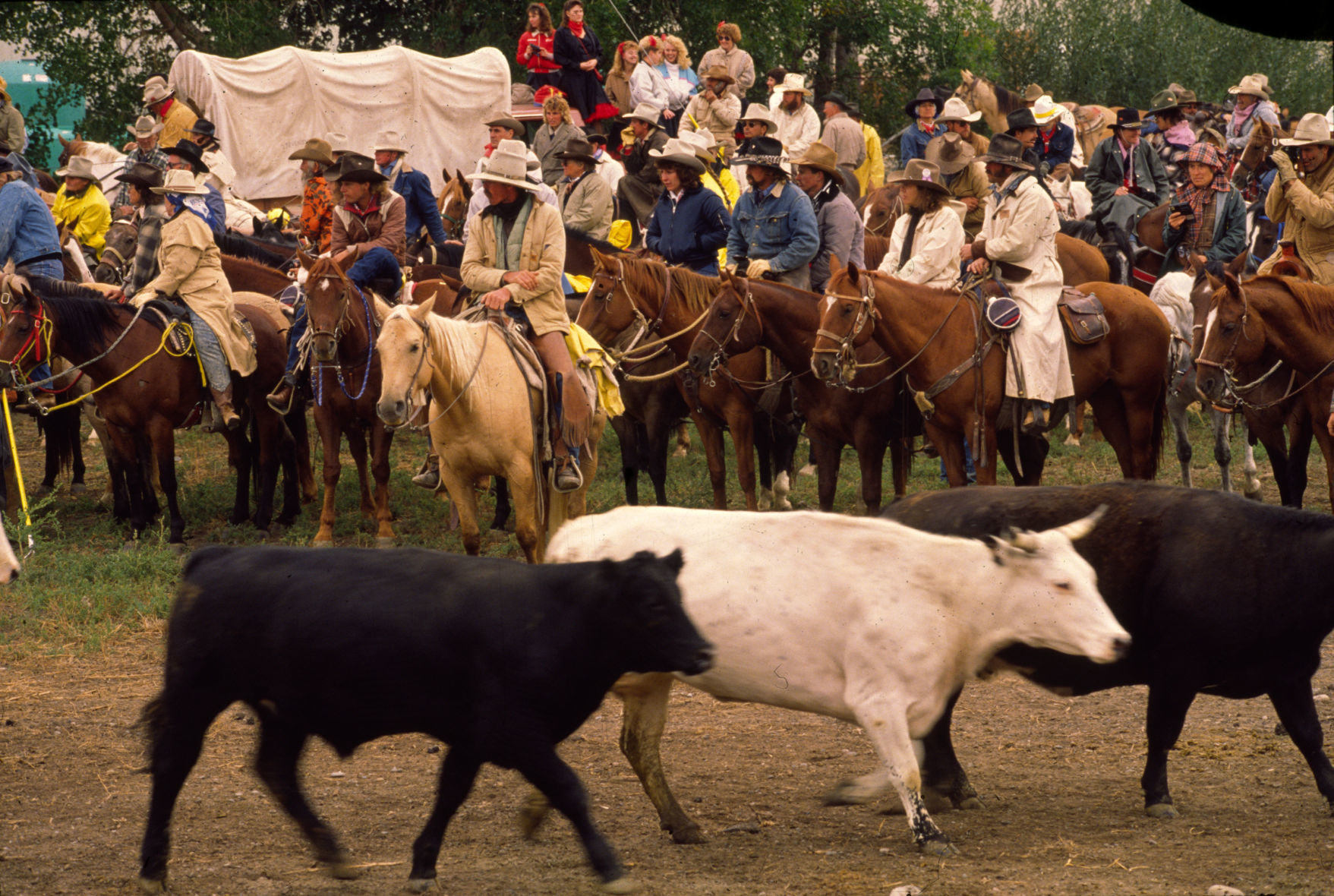Great Montana Centennial Cattle Drive